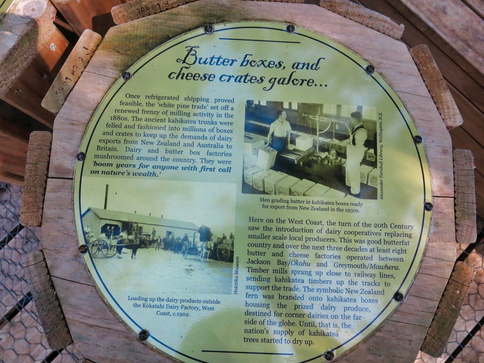 Kahikatea træer